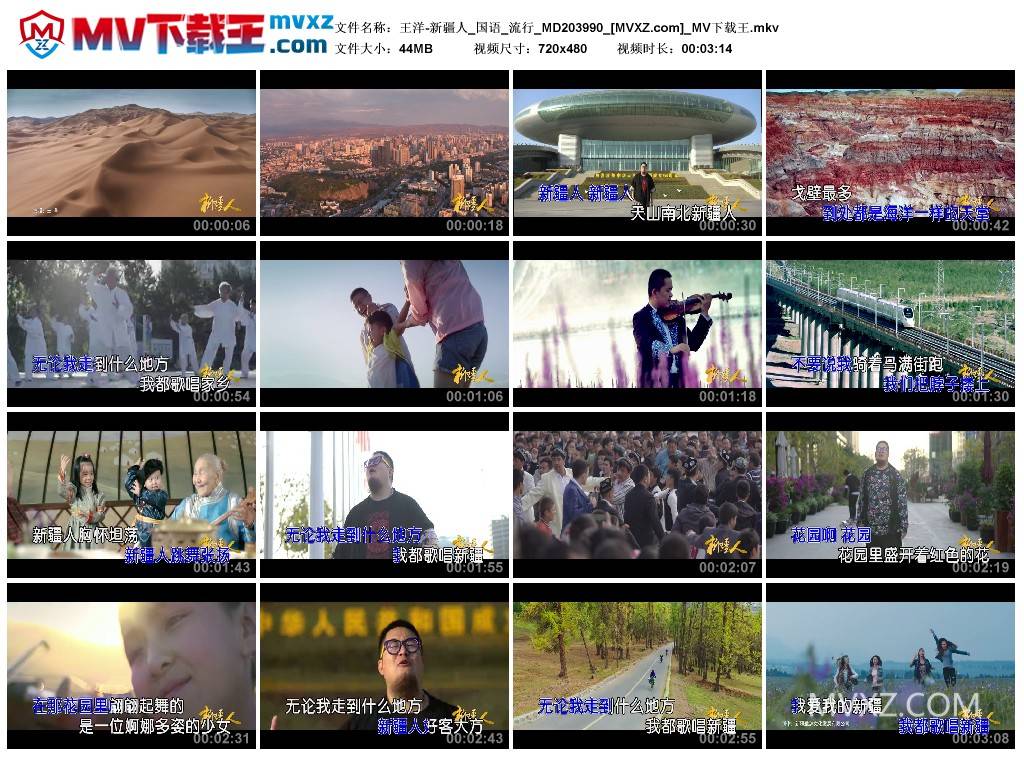 王洋-新疆人_国语_流行_MD203990